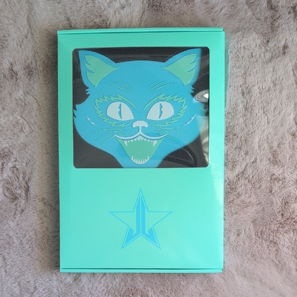 Teal Cat Face Notebook